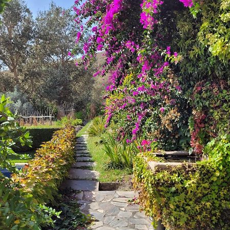 Bancal De Los Perez Villa Carataunas Buitenkant foto