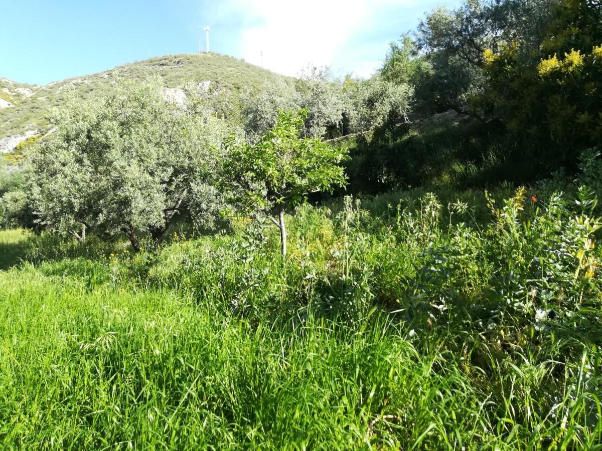 Bancal De Los Perez Villa Carataunas Buitenkant foto