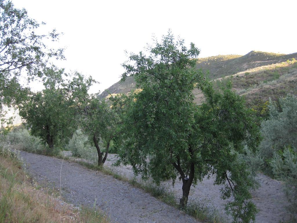 Bancal De Los Perez Villa Carataunas Buitenkant foto