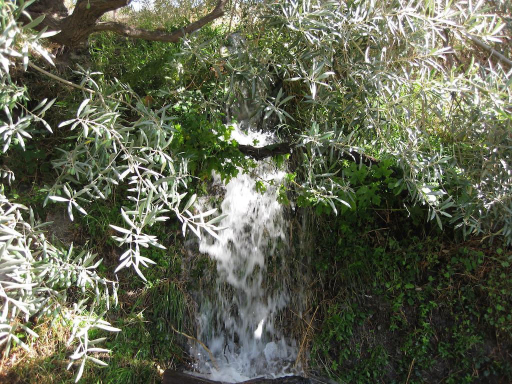 Bancal De Los Perez Carataunas Buitenkant foto