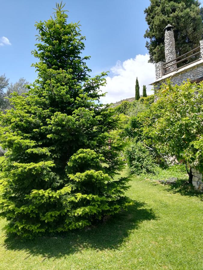 Bancal De Los Perez Villa Carataunas Buitenkant foto