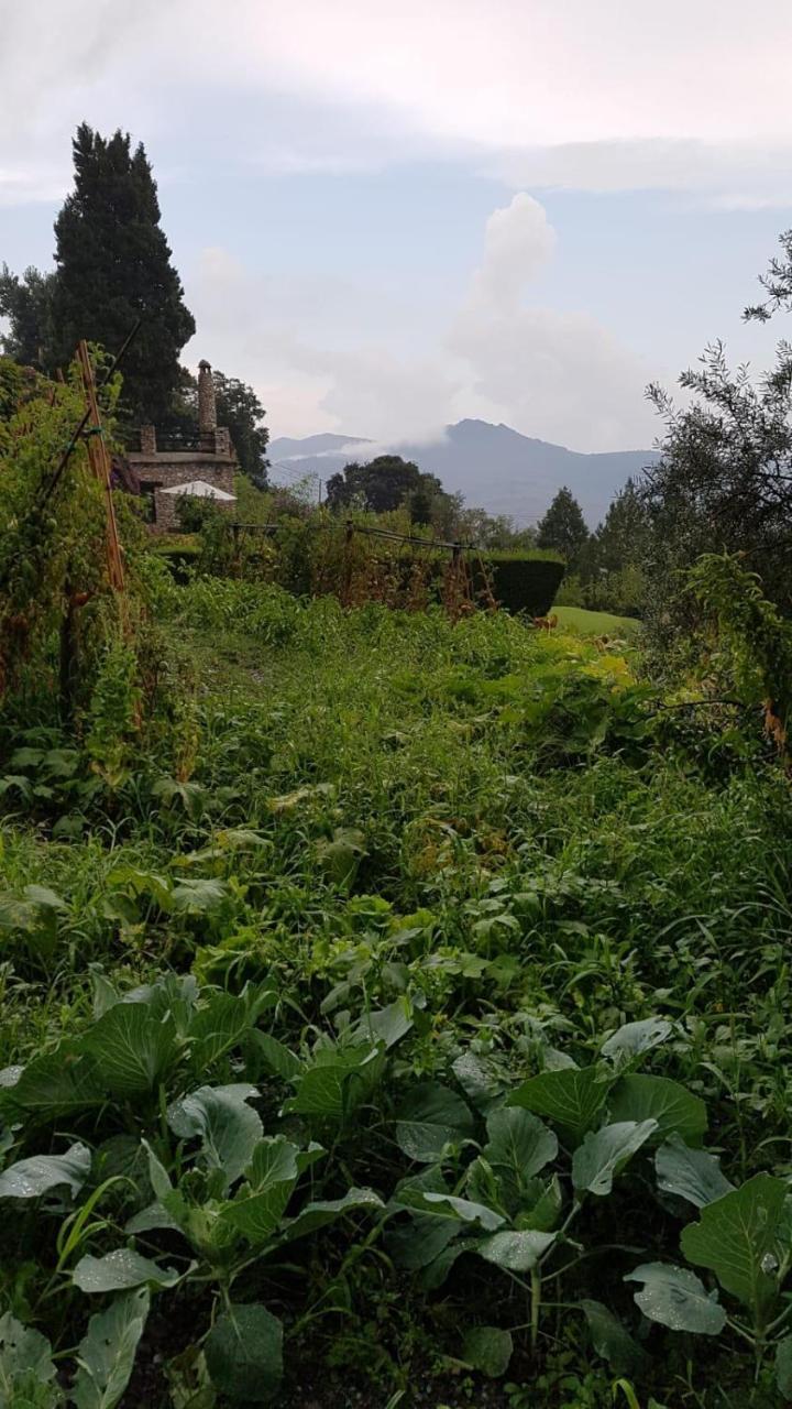 Bancal De Los Perez Carataunas Buitenkant foto