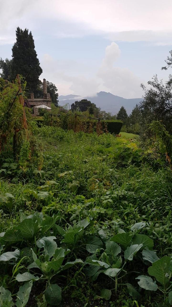 Bancal De Los Perez Villa Carataunas Buitenkant foto